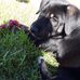 Haley Whitt - Facebook