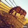 HaleyWight - @haleywight - TikTok