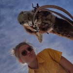 Haley Willison - @willison_haley - Instagram