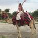 Haley Winningham - Facebook