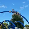 Hailey Wiseman - @haileywiseman178 - TikTok