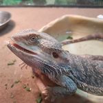 Haley Workman - @haleyworkman3 - Instagram
