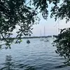 haliajohnsonisthegoat24 - @haliajohnsonisthegoat24 - TikTok