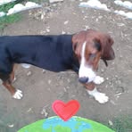 Halid Avdic - Facebook