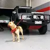 user9937347076685 - @halid.avdic_93 - TikTok