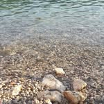 Halid Abdibegovic - @halidabdibegovic - Instagram