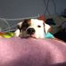 Haley Osberg - Facebook