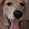 Halieyprice - @halieyspam_54 - TikTok
