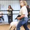 haliesmith_ - @haliesmith_ - TikTok