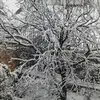 halil akin - @halil.akin59 - TikTok
