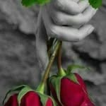 halil benzer - @halilabenzer400 - Instagram