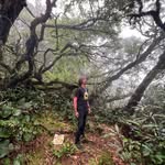 Halim Abdullah - @aa.halim - Instagram