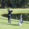 Halim Habib - @halimhabibgolf - TikTok