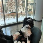 Halim Habib - @halimco1 - Instagram