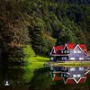 Halim Mustafa - @halim.mustafa00 - TikTok