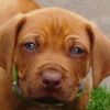 Halim_Salim - @halim_salim - TikTok
