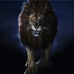 Halim Salimov - @halimsalimov81 - Instagram