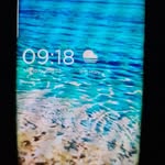 Halima Amini - @halimaamini51 - Instagram