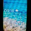halimaamini12 - @halimaamini12 - TikTok