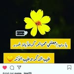 Halima Amrani - @amrani.halima - Instagram