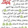 Halima Amrani - @halima.amrani - TikTok