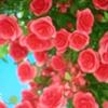 halima baba - @halima.baba51 - TikTok