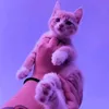 Halima Chowdhury - @.prema.chowdhury5 - TikTok