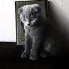 halima.ben.ayat - @halima.ben.ayat - TikTok