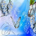 Halima-green Halima - Facebook