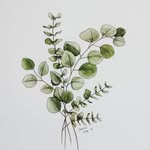 Halima - @halima_greenspace - Instagram