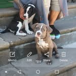 halimaha green - @halimahagreen - Instagram