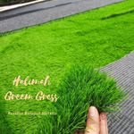 RESELLER RUMPUT SINTETIS - @halimah_greengress - Instagram