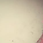 halima habib - @halimahabib65 - Instagram