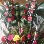 Halima Halimi - @tourialahlimi91 - Instagram
