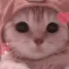 halimahalimi8 - @halimahalimi8 - TikTok