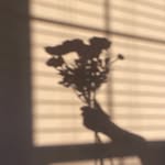 •Halima• - @halima_binte_hannan - Instagram
