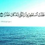 حلیمه - @halima_hasan - Instagram