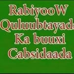 Halima Hersi - @halima.hersi.378 - Instagram