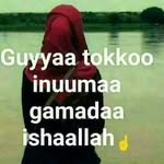 Halima Jamal - @halima.jamal.9279 - Instagram