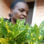 Halima John - @halima7968 - Instagram