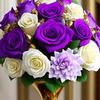 Halima love - @user9020885659128 - TikTok