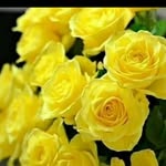 Mohamda Hhekha - @halima_mohammed__ - Instagram