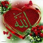 Halima Omar - @halimaomar5998 - Instagram
