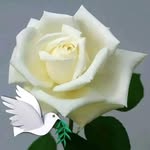 Halima Omar - @halima753k - Instagram