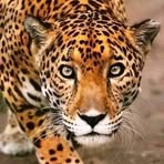 Halima Omer - Facebook