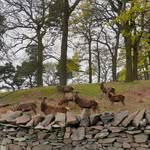 Halima Patel - @halimapatel43 - Instagram