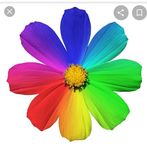 Halima Patel - Facebook
