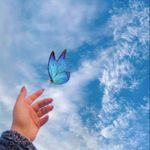 Halimapatel - @halimapatel007 - Instagram