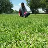 khush - @halie.m..pearsonn - TikTok