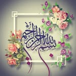 Halima - @halima_qureshi - Instagram